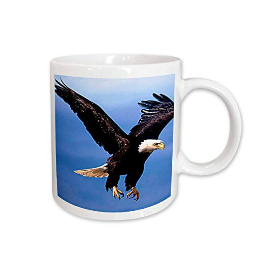 3dRose Bald Eagle Mug, 11-Ounce