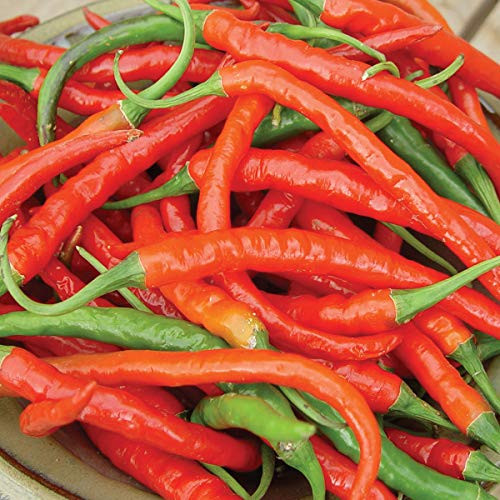 Burpee Long Red Slim Cayenne Hot Pepper Seeds 100 seeds