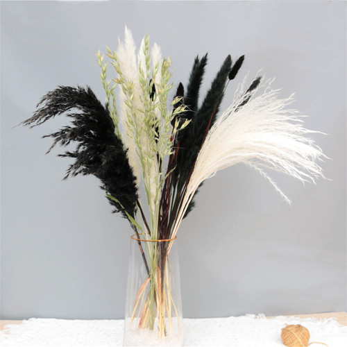 ZWMBYN 29 Pcs Fluffy Dried Pampas Grass |Black Pampas & White Pampas & Reed Grass & Black Bunny Tails Pampas & Phragmites/ Natural Dried Pampas Grass for Flower Arrangements Wedding Home Decor