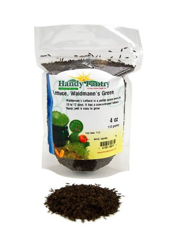 Waldmanns Green Lettuce Seeds - 4 Oz. Resealable Bag - Use for Indoor Gardening, Growing Microgreens & More | Micro Greens Salad Garden