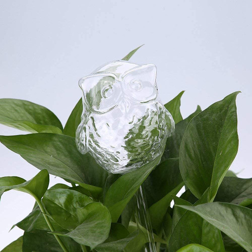 Plant Self Watering Bulbs Irrigation House Automatic Watering Devices Clear Glass Water Feeder Owl Shape