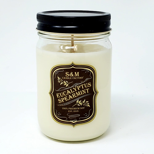 Eucalyptus Spearmint Candle Stress Free Aromatherapy All Natural Premium Soy Candles ~ 12oz Jars (Eucalyptus Spearmint)