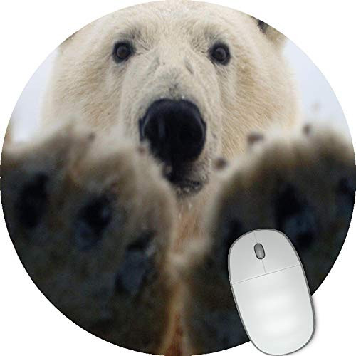 Polar Bear Round mosue pad Gaming Mouse pad Non-Slip Mouse pad