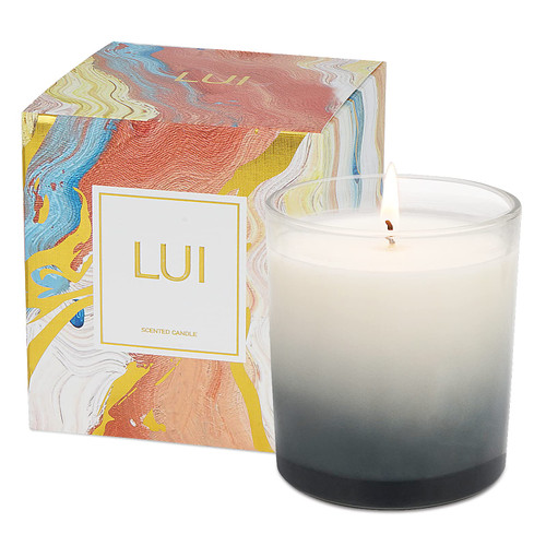 LUI Wocanbebetter | Premium Soy Wax Scented Candles | 7.4 oz 40 Hours Burning time | All Natural Soy Wax Candles | Aromatherapy Candles with Color Gift Box(Bourbon Wonderland) LUI Wocanbebetter | Premium Soy Wax Scented Candles | 7.4 oz 40 Hours Burning time | All Natural Soy Wax Candles | Aromatherapy Candles with Color Gift Box(Bourbon Wonderland)