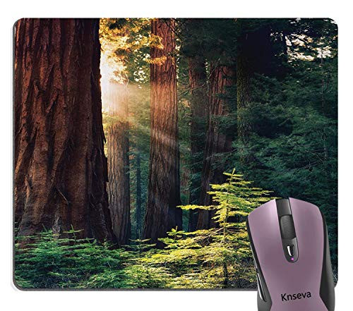 Knseva National Parks Thick Old Wood Forest Mouse Pad, Morning Sunlight in Wilderness Yosemite Sierra Nevada United States Nature Mouse Pads