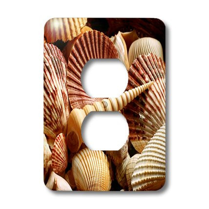 3dRose LLC lsp_123183_6 Beautiful Pink Seashells 2 Plug Outlet Cover