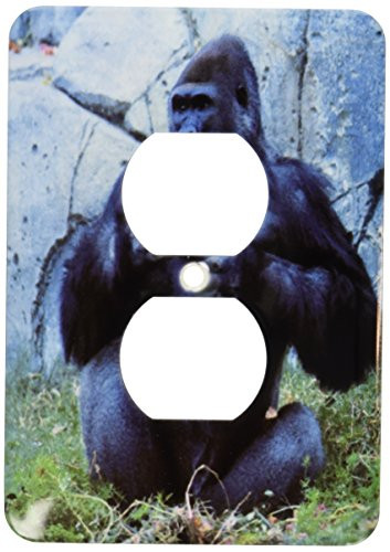 3dRose lsp_37628_6 Lowland Gorila, Gorilla GorillaCentral West African Rainforest 2 Plug Outlet Cover