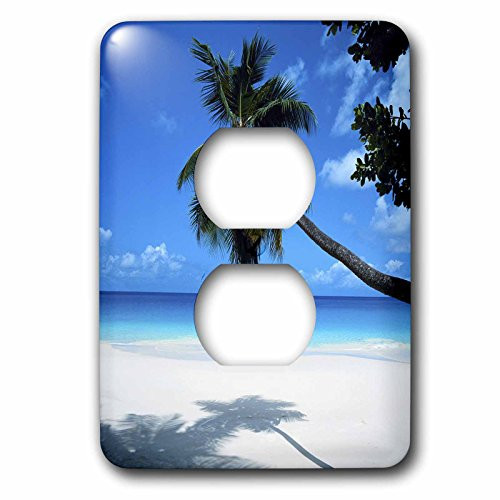 3dRose lsp_50951_6 Tropical Paradise Awaits Outlet Cover