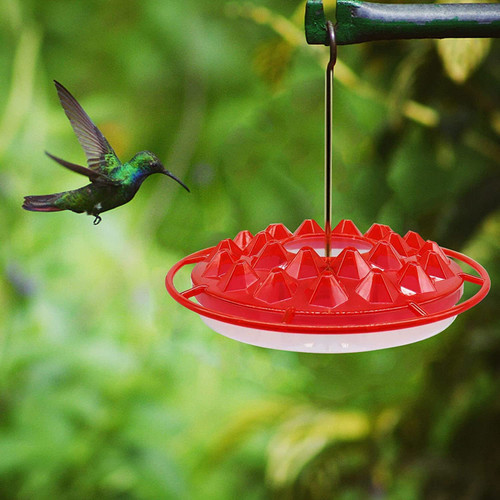 Mary's Sweet Hummingbird Feeder - Hummingbird Feeders for Outdoors Hanging Window,Bird Feeder with Ant Moat Perch for Yard Garden Decoration (Red) Mary's Sweet Hummingbird Feeder - Hummingbird Feeders for Outdoors Hanging Window,Bird Feeder with Ant Moat Perch for Yard Garden Decoration (Red)