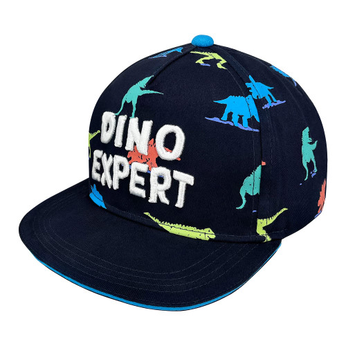 Boys Baseball Hat Toddler Trucker Hat Adjustable Snapback Sun Hat Baseball Cap for Toddler Kids Boys 1-8 Years(Print Dino,52cm)