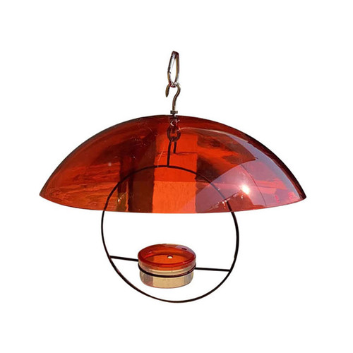 Hummingbird Feeders CATSELURRY Hummingbirds Feeders for Outdoors Hangings Bird Feeders for Outside Hummingbirds Hummingbirds Swing Cup Bowl Hummingbird Feeders CATSELURRY Hummingbirds Feeders for Outdoors Hangings Bird Feeders for Outside Hummingbirds Hummingbirds Swing Cup Bowl