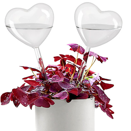 KiKiHeim Plant Waterer Self Watering Globes, Hand Blown Clear Glass Plant Watering Globes, Water Bulbs for Indoor Outdoor Plant, 2 Hearts KiKiHeim Plant Waterer Self Watering Globes, Hand Blown Clear Glass Plant Watering Globes, Water Bulbs for Indoor Outdoor Plant, 2 Hearts