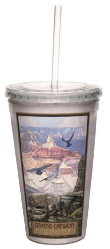 Tree-Free Greetings cc33152 Vintage Grand Canyon National Park Scenic Vista by Paul A. Lanquist Artful Traveler Double-Walled Cool Cup with Straw, 16-Ounce