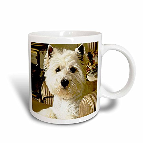 3dRose mug_609_3 Westie Magic Transforming Mug, 11 oz, Black/White