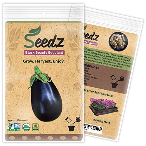 CERTIFIED ORGANIC SEEDS (Appr. 100) - Black Beauty Eggplant - Eggplant Seeds, Open Pollinated - Non GMO, Non Hybrid Vegetable Seeds - USA