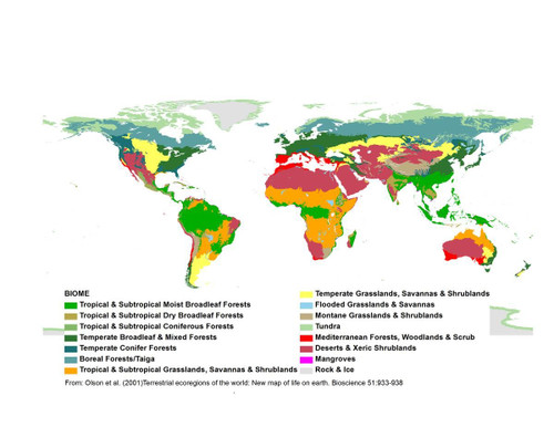 Gifts Delight Laminated 31x24 Poster: Climate Map Gifts Delight Laminated 31x24 Poster: Climate Map