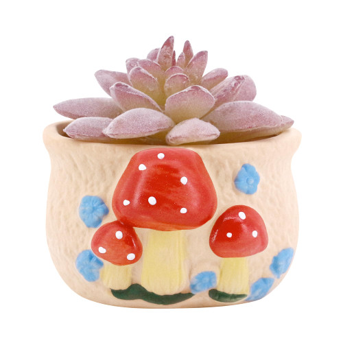 Segreto Creative Succulent Plant Pots Colorful Mushrooms Pattern Flower Pots Ceramic Planter for Cactus Plants Container Bonsai Pots with Drainage Hole for Home Decor