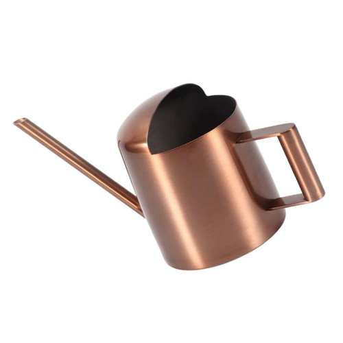 CAXUSD Watering Can Indoor Plant Watering Flower Sprayer Watering Pot for Plant Watering Kettle Watering Pot Indoor Plant Misters Watering Pitcher Small Accessories Stainless Steel Child