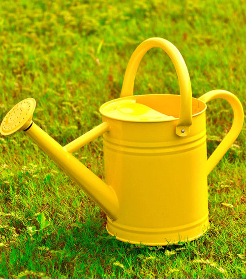 Joequality Watering Can for Outdoor Plants?1 Gallon Metal Plant Watering Can with Detachable Diffuser Spout?Galvanized Steel Gardening Tools?Yellow