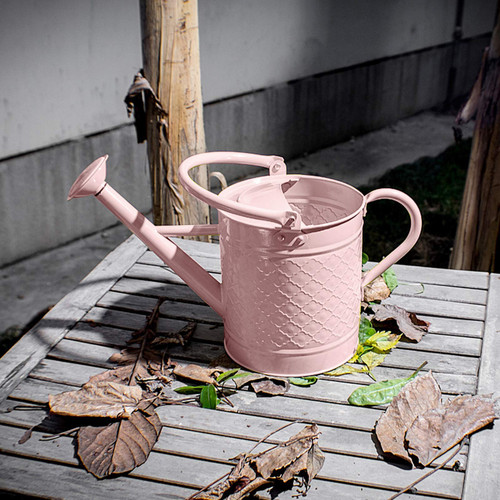 HORTICAN 1 Gallon Watering Can Decorative Farmhouse Watering Can, Metal Watering Can with Removable Spout, Perfect Plant Watering Can for Indoor and Outdoor