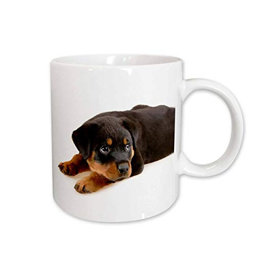 3dRose Rottweiler Puppy Ceramic Mug, 11-Ounce