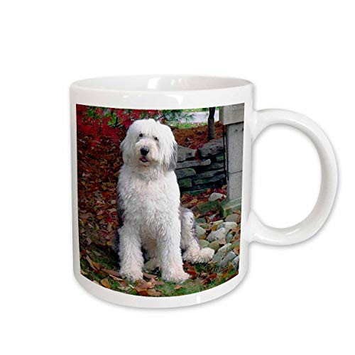 3dRose Old English Sheepdog Mug, 11-Ounce