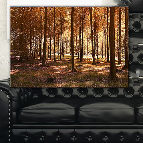 Designart PT9768-20-12 Thick Fall Forest with Orange Leaves Landscape Photo Canvas Print, 20x12,