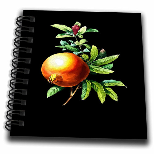3dRose Pomegranate Autumn Botanical Vector Art On Black - Drawing Books (db_355563_3)