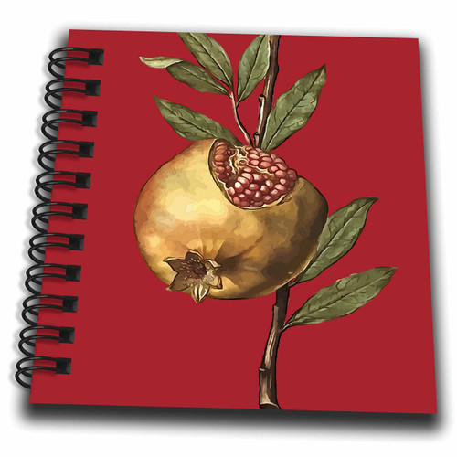 3dRose Mediterranean Pomegranate Fruit and Seeds Vector Art - Drawing Books (db_355569_3)