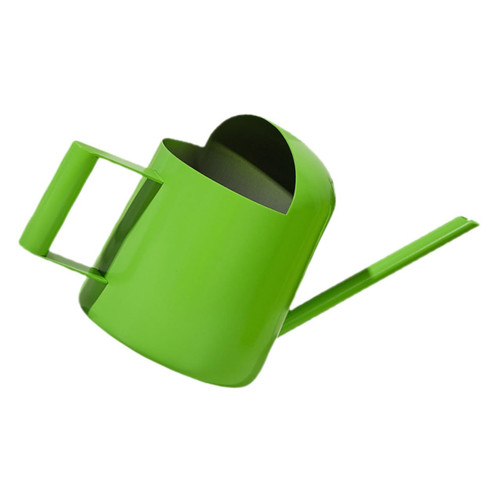 Indoor Watering can Mini Plant Watering can Watering can Indoor Mini Water Kettle Mini Watering can House Plant Watering can Watering Pot Green Plants Hawthorn Stainless Steel
