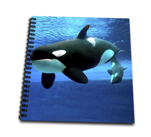 3dRose Killer Whales - Mini Notepad, 4 by 4-inch (db_5728_3)