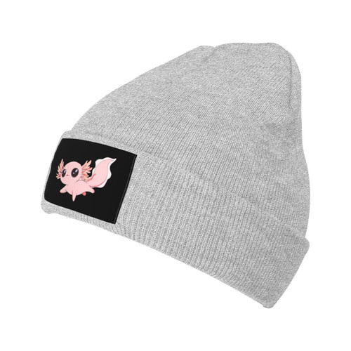 ROHKAO Axolotl 2 Beanie Hats Soft Stretch Knit Hat Winter Warm Man Women's Beanies Cap Gray