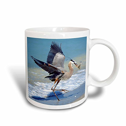 3dRose 89054_1 Florida, Captiva Island Blue Heron Bird-Us10 Bja0183-Jaynes Gallery Ceramic Mug 11 oz White