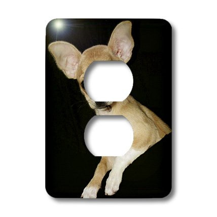 3dRose lsp_49302_6""Beautiful Chihuahua Portrait" Outlet Cover