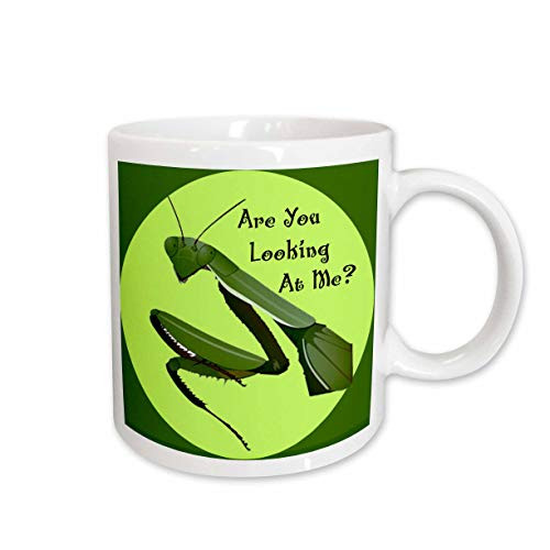 3dRose Praying Mantis Mug, 11-Ounce