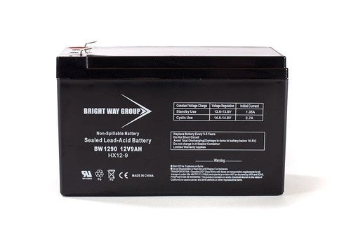 Bright Way Replacement Battery for APC Back-UPS BN900M 12V 9AH F2 UPS Battery