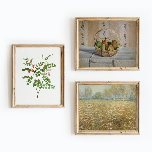 Set 3 Vintage Prints For Wall Decor, Vintage Botanical Wall Art, French Country Wall Decor, Vintage Farmhouse Wall Decor, Vintage Botanical Wall Art, Vintage Wall Decor(11x14 IN UNFRAMED)