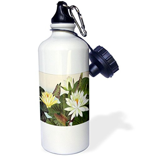 3dRose Pretty Large Pale Yellow Lilies-Sports Water Bottle, 21oz (wb_175406_1), Multicolored