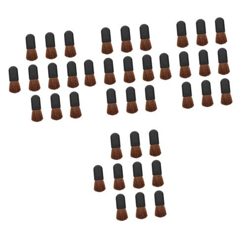 SEWACC 40 Pcs Mini Brush Kids Kits Artist Painting Brush Wood Wall Paint Brush Drawing Brushes Oil Painting Brush Artist Paint Brushes Watercolor Paintbrush Multifunction Child Fiber SEWACC 40 Pcs Mini Brush Kids Kits Artist Painting Brush Wood Wall Paint Brush Drawing Brushes Oil Painting Brush Artist Paint Brushes Watercolor Paintbrush Multifunction Child Fiber