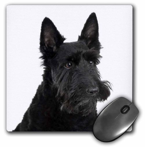 3dRose LLC 8 x 8 x 0.25 Inches Mouse Pad, Scottish Terrier (mp_21045_1) 3dRose LLC 8 x 8 x 0.25 Inches Mouse Pad, Scottish Terrier (mp_21045_1)