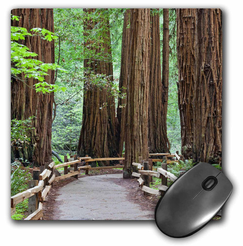 3dRose USA California Trail Through Muir Woods Nm in Springtime Mouse Pad (mp_190995_1)
