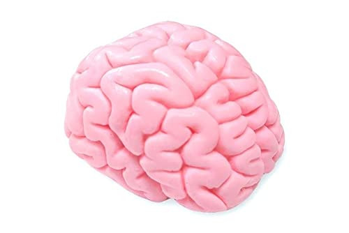 GIANTmicrobes Brainwashed Soap