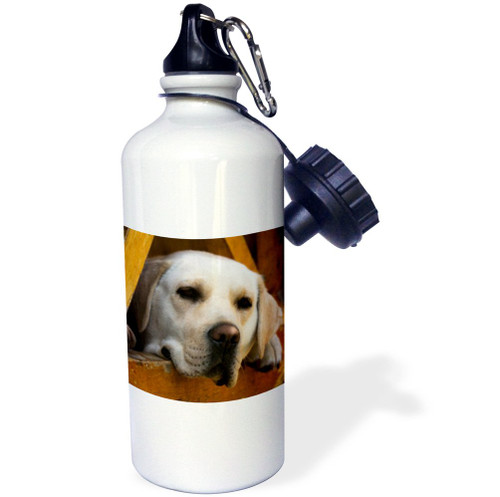 3dRose "Blond Labrador retriever dog, Patagonia, Chile SA05 DBN0021 David Barnes" Sports Water Bottle, 21 oz, White
