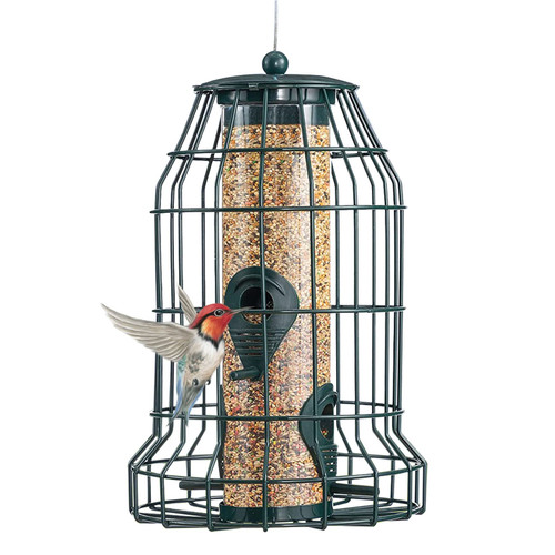 Caged Bird Feeders Metal - Squirrel-Proof Wild Bird Feeders, Clear Tube Feeders Hanging Outside Starling Proof,4 Feed Ports for Garden Backyard Caged Bird Feeders Metal - Squirrel-Proof Wild Bird Feeders, Clear Tube Feeders Hanging Outside Starling Proof,4 Feed Ports for Garden Backyard