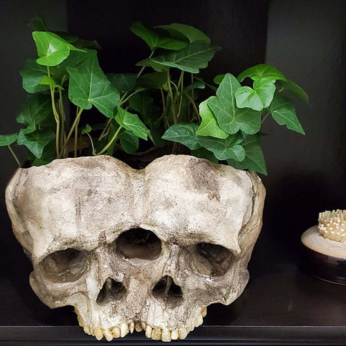 Utoimkio Halloween Skull Flower Pot,Creepy Skull Potted Plant,Spooky Small Succulent Skull Pots Gifts Decor,Mini Resin Home Gardening Planter Container (Double Head)