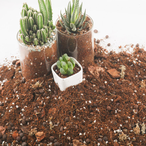 CJGQ Potting Soil Mix 9Quart, Organic Soil Mix Orchid Bark, Sphagnum Moss and Leca Clay Pebbles for Indoor Plants, Orchid Fertilizer Garden Soil for Root Development, Improve Drainage and Aeration