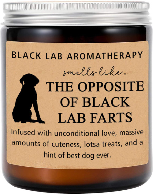 Black Lab Gifts - Labrador Gifts - Black Lab Mom - Black Lab Candle - Labrador Retriever Gifts - Gift for Black Lab Lover - Lab Mothers Day Gift Black Lab Gifts - Labrador Gifts - Black Lab Mom - Black Lab Candle - Labrador Retriever Gifts - Gift for Black Lab Lover - Lab Mothers Day Gift