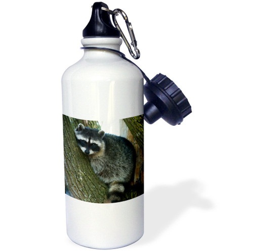 3dRose "Raccoon, Skagit Valley, Washington, USA-US48 AWO0041-Art Wolfe" Sports Water Bottle, 21 oz, White