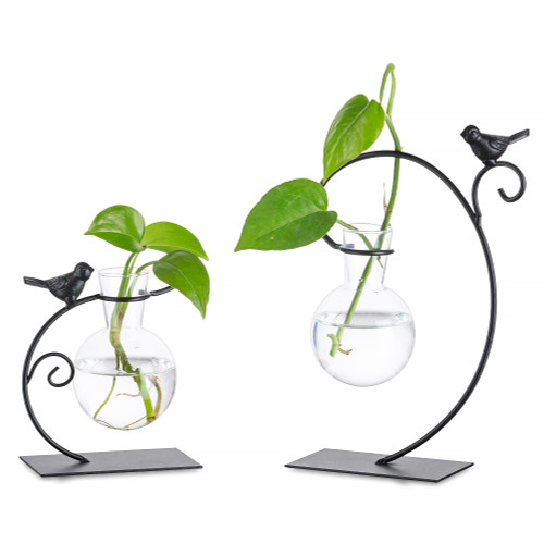 Glasseam Terrarium Plant Propagation Stations, 2Pcs Glass Terrariums for Plants, Desktop Glass Planter Bulb Vase for Office Home Decor, Hydroponic Propogation Jars Propagate Station Gifts for Women Glasseam Terrarium Plant Propagation Stations, 2Pcs Glass Terrariums for Plants, Desktop Glass Planter Bulb Vase for Office Home Decor, Hydroponic Propogation Jars Propagate Station Gifts for Women