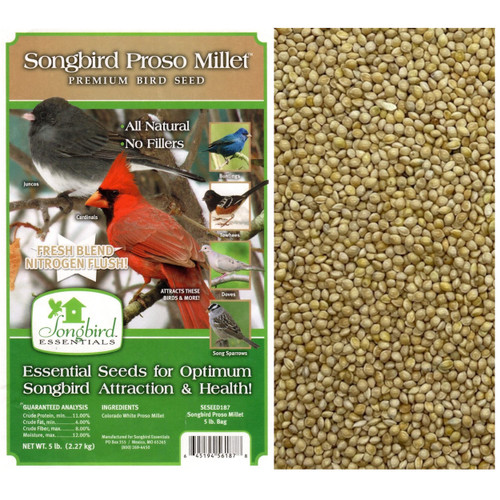 Songbird Essentials Wild Bird Food, Proso Millet Premium Bird Seed, 5 Pound Bag, Nitrogen Flushed Colorado White Millet for Birds